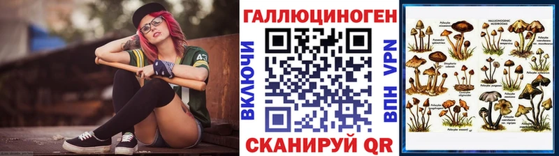 дарк нет наркотические препараты  хочу   Пенза  Псилоцибиновые грибы мухоморы 